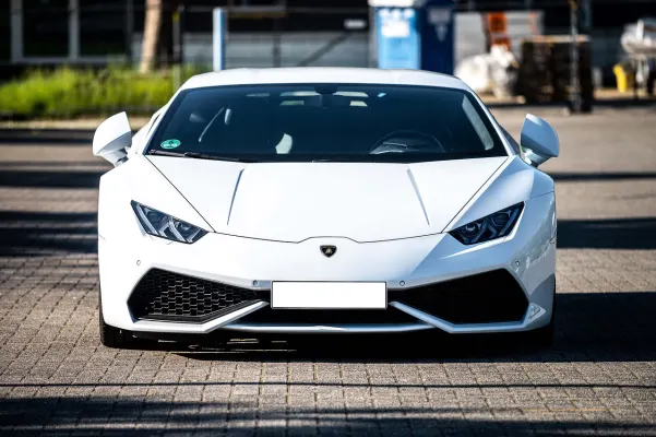 Kazino Dogs Fortune Android/iOS programa